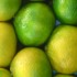 citroner